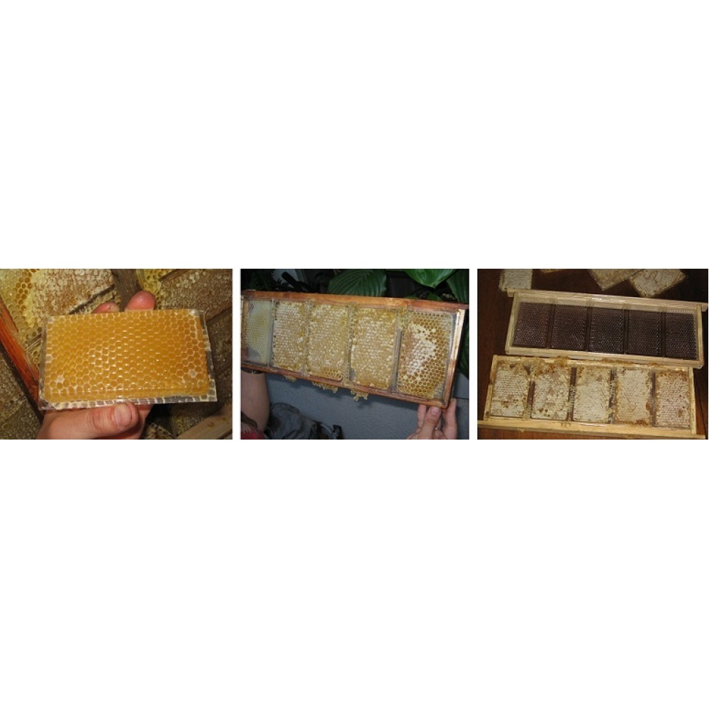 Пластмасови основи система “Бипакс”(Beepaкs).